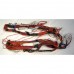 Проводка для стиральной машины Ariston AL109XEU, AB108XIT, AL108XBE, AL68XIT, AL88XEU Проводка для стиральной машины Ariston AL109XEU, AB108XIT, AL108XBE, AL68XIT, AL88XEU